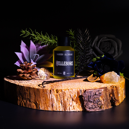 HELLEBORE BODY OIL